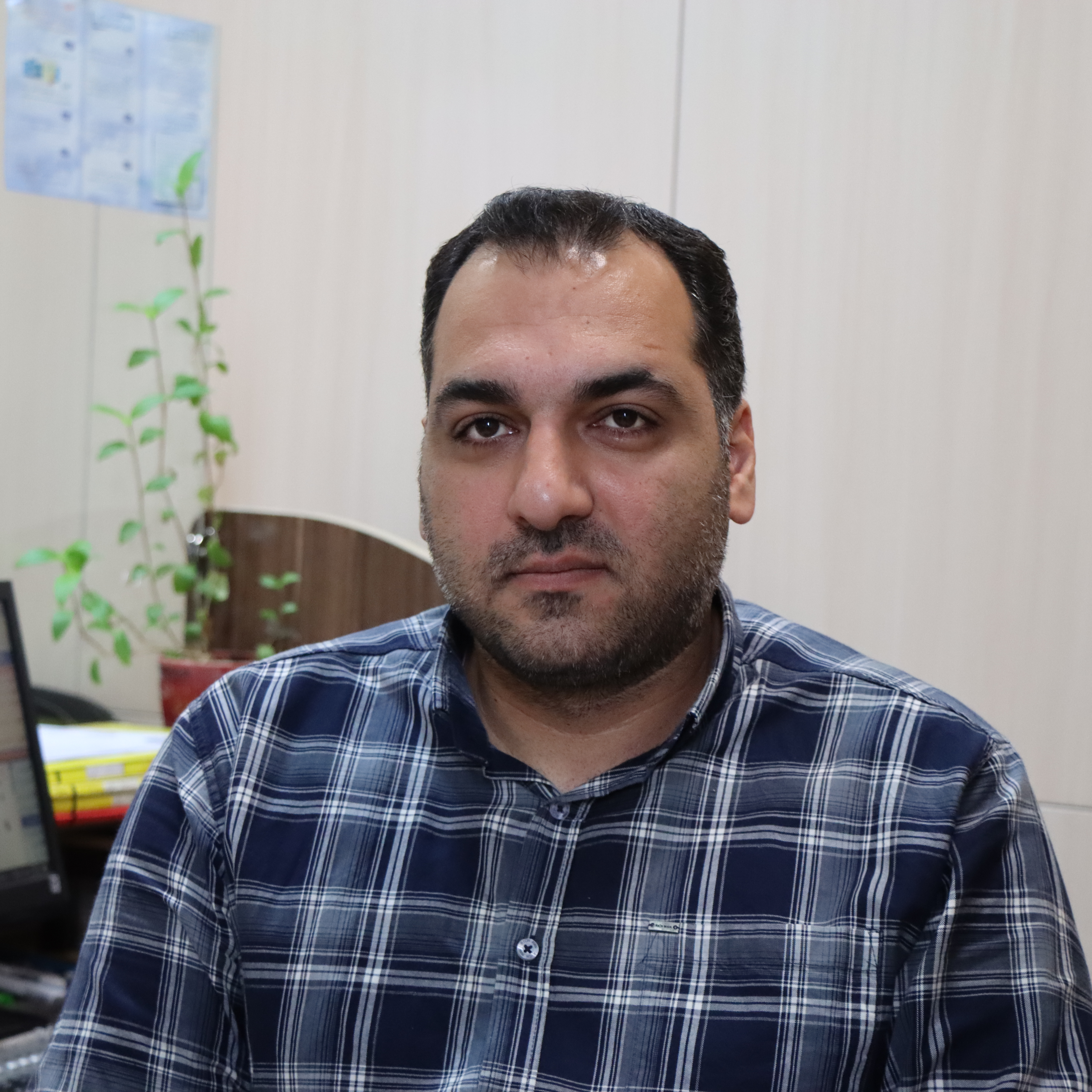 امیر بیگی